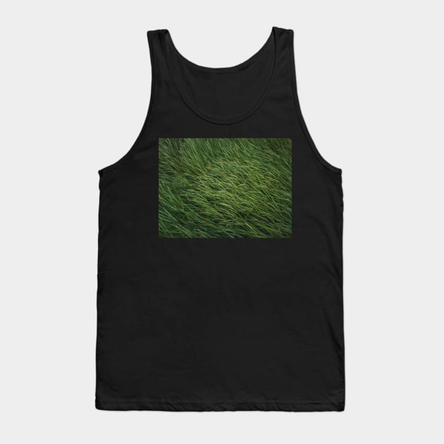 green grass sway in the wind Tank Top by psychoshadow